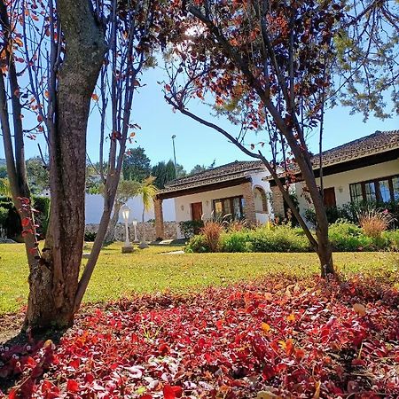Tottam Art & Healthy Garden Βίλα Μάλαγα Εξωτερικό φωτογραφία