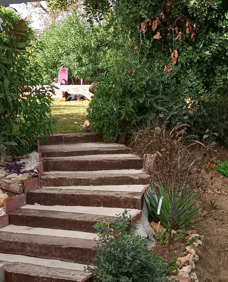Tottam Art & Healthy Garden Βίλα Μάλαγα Εξωτερικό φωτογραφία