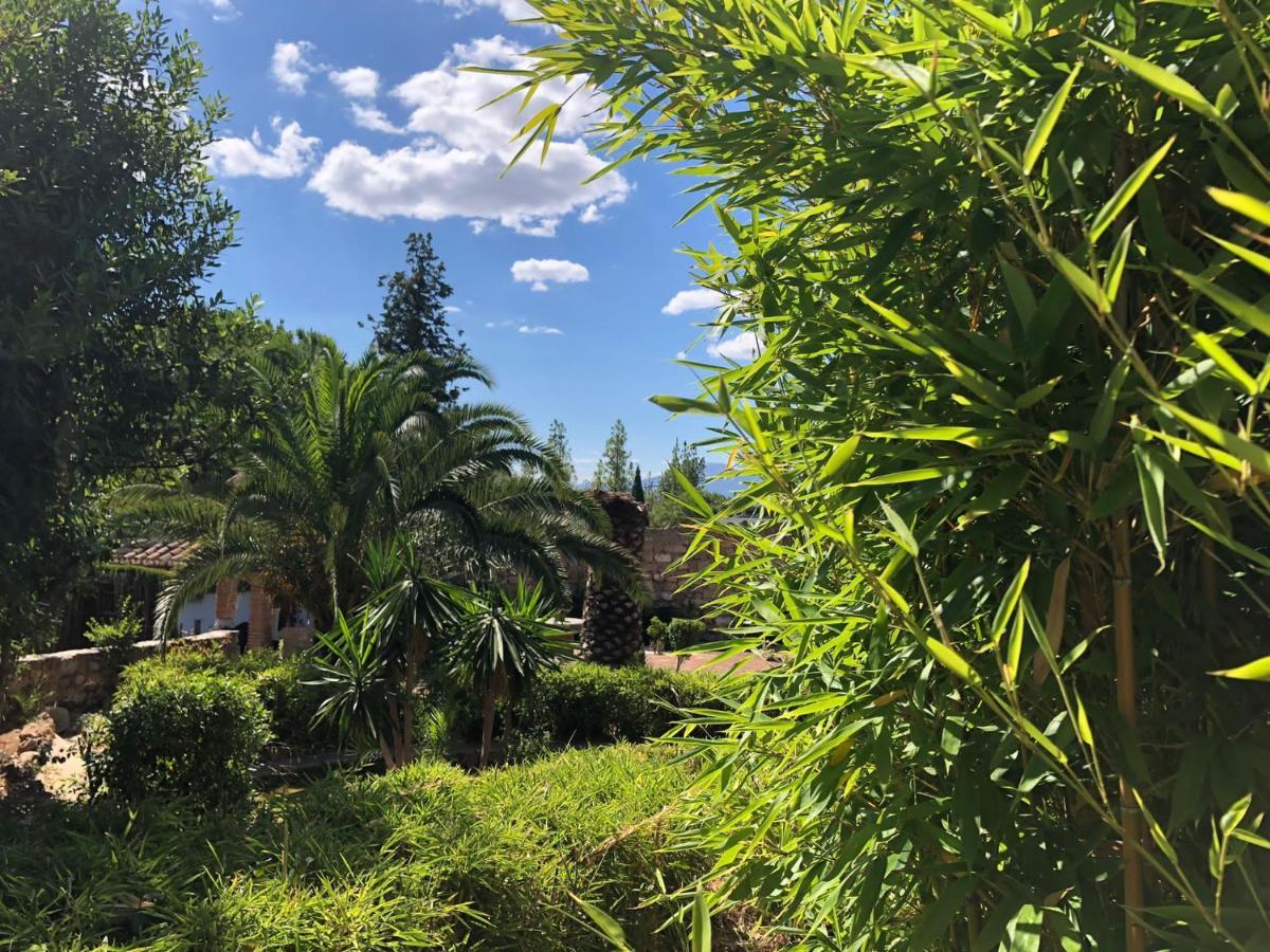 Tottam Art & Healthy Garden Βίλα Μάλαγα Εξωτερικό φωτογραφία