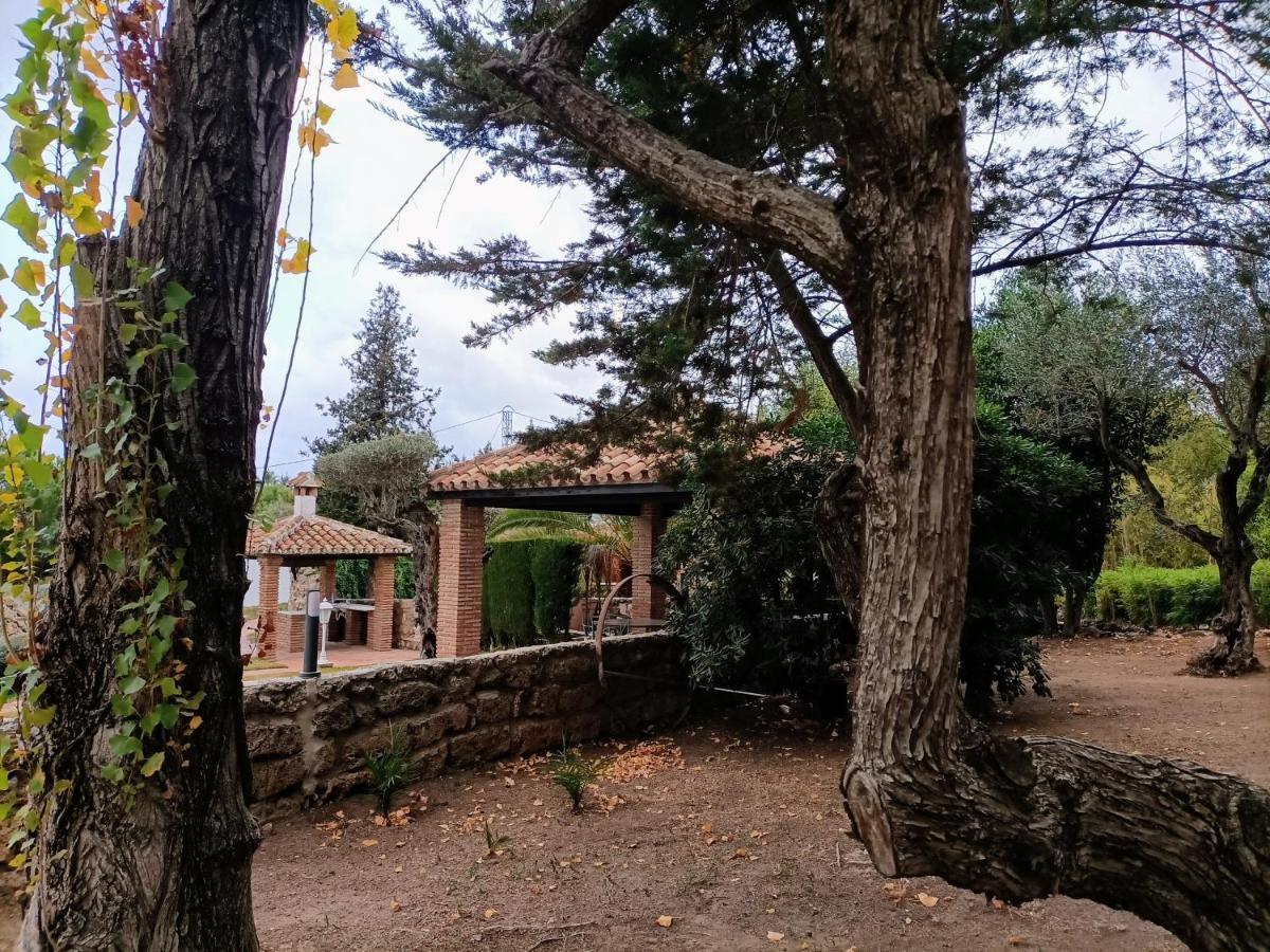 Tottam Art & Healthy Garden Βίλα Μάλαγα Εξωτερικό φωτογραφία