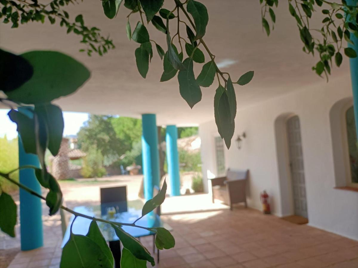 Tottam Art & Healthy Garden Βίλα Μάλαγα Εξωτερικό φωτογραφία