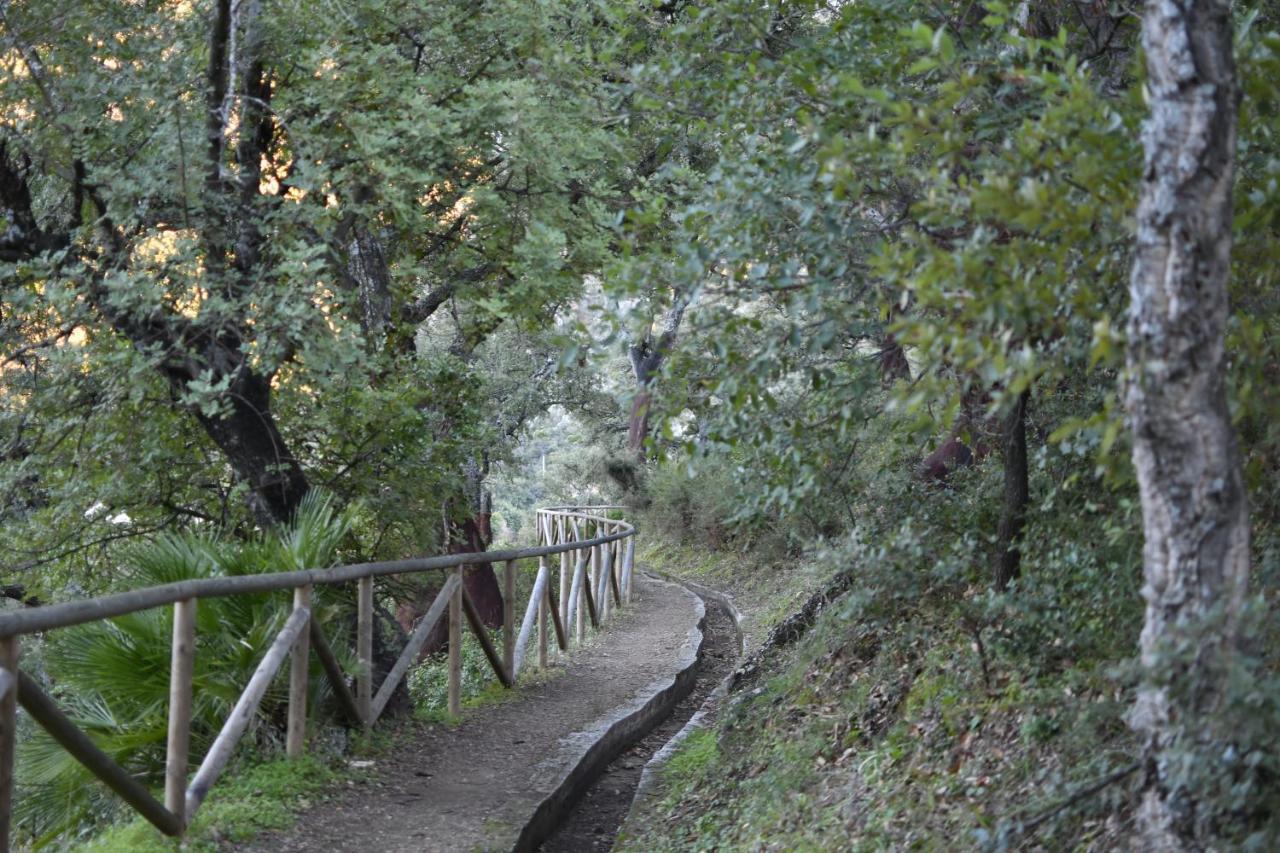 Tottam Art & Healthy Garden Βίλα Μάλαγα Εξωτερικό φωτογραφία