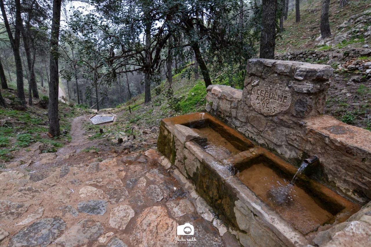 Tottam Art & Healthy Garden Βίλα Μάλαγα Εξωτερικό φωτογραφία