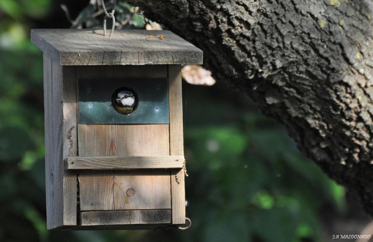 Tottam Art & Healthy Garden Βίλα Μάλαγα Εξωτερικό φωτογραφία