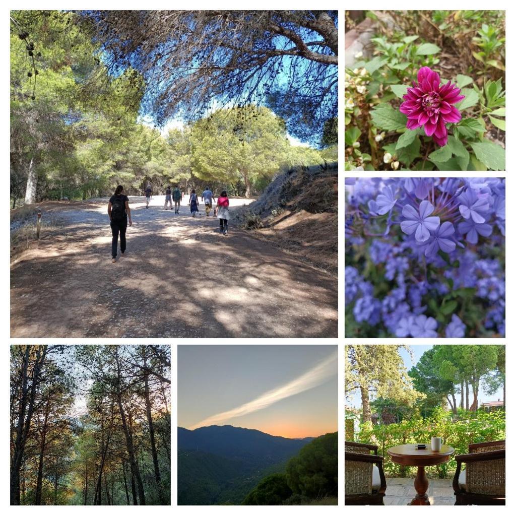 Tottam Art & Healthy Garden Βίλα Μάλαγα Εξωτερικό φωτογραφία
